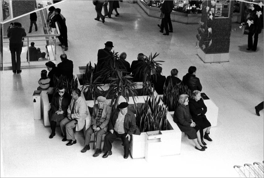 La especie de los viejos